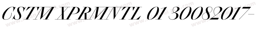 CSTM XPRMNTL 01 30082017字体转换